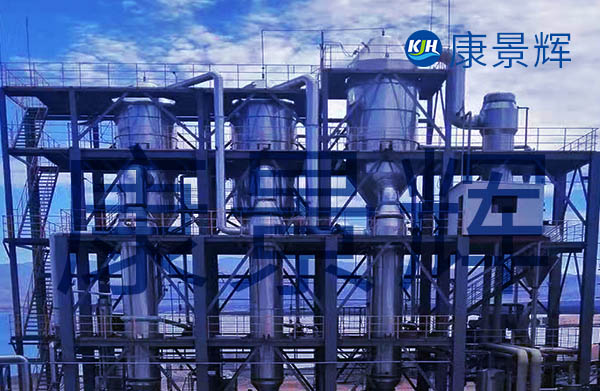 高鹽強制循環(huán)結晶設備